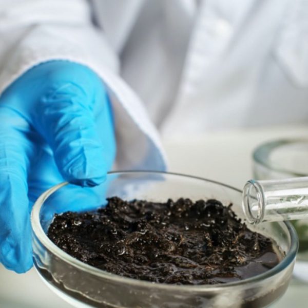 Yield Lab Europe – The leading funder of early stage Agri Food-Tech ...