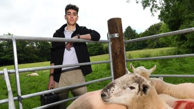Yield Lab Europe – The leading funder of early stage Agri Food-Tech ...