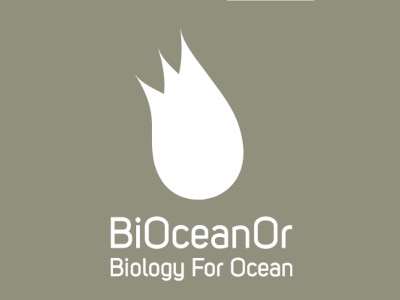 Bioceanor develops predictive algorithms to forecast the water quality in open waters, improving aquaculture and water treatment facilities. 